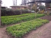 farmschool-1090443