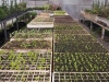farmschool-1090457