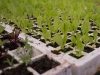 farmschool-1090458