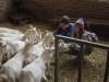 farmschool-6021