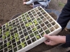 farmschool-6056
