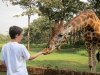 giraffemanor_kenya-1962