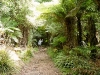 Treetops Resort, New Zealand