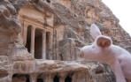 Where is Piggy in Jordan?