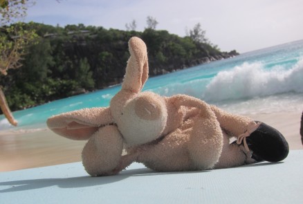 Where is Piggy in the Seychelles?