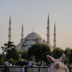 Where is Piggy in Turkey?