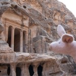 Where is Piggy in Jordan?