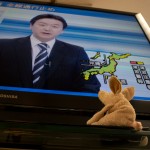 Where is Piggy in Japan?