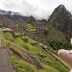 Where is Piggy in Peru?