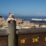 Where is Piggy in South Africa?