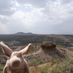 Where is Piggy in Tanzania?